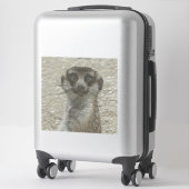 Sticker meerkat métallique (Sur valise)