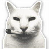 Sticker Mème de chat drôle cool fumant une cigarette (Recto)