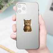 Sticker Mème du chat triste pouce levé (Téléphone)