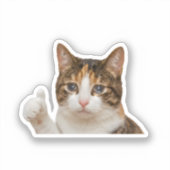 Sticker Mème graphique drôle de chat qui pleure et qui fai (Recto)