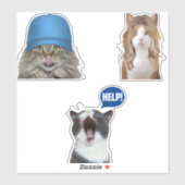 Sticker Mèmes de chat fou (Feuille)