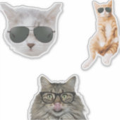 Sticker Mèmes de chats amusants (Devant)