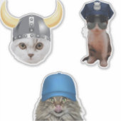 Sticker Mèmes de chats amusants (Devant)