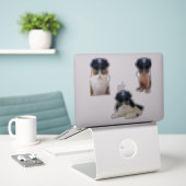 Sticker Mèmes de chats amusants (Ordinateur portable sur le bureau)