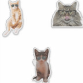 Sticker Mèmes de chats cool (Devant)