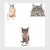 Sticker Mèmes de chats cool (Feuille)