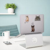 Sticker Mèmes de chats cool (Ordinateur portable sur le bureau)