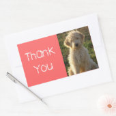 Sticker Merci Goldendoodle Chien Chien Coquelicot (Enveloppe)