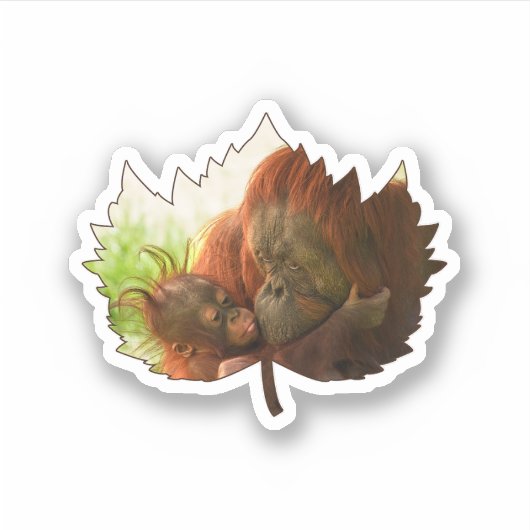 Sticker Mère Et Bébé Orangoutan (Devant)