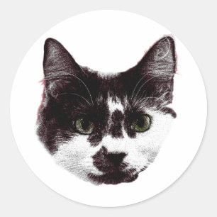 Sticker met een Starende Blik Inktstijl Kat Stic