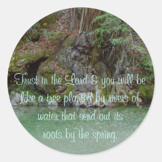 Sticker met foto van boom door een rivier