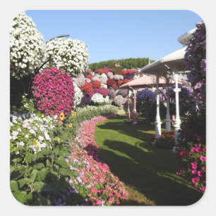 Sticker met Petunias Garden