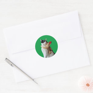 Sticker met witte en zwarte kattenrendierkerst voo