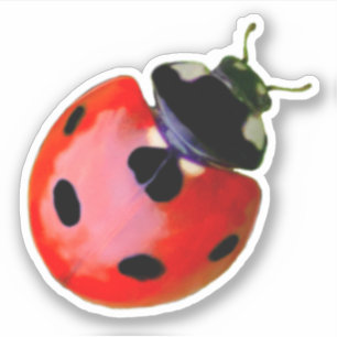 Sticker Mignonne petite coccinelle donne chance et fortune