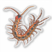 Sticker Mille-pattes  (Devant)