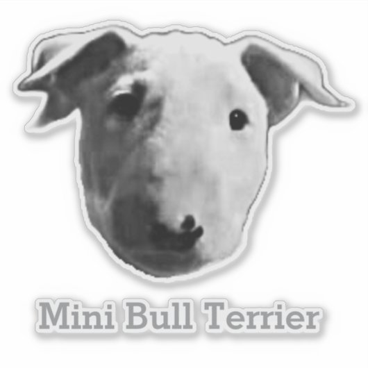 Sticker Mini Bull Terrier (Devant)