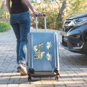 Sticker Mode de boîte (Valise Insitu)