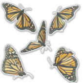 Sticker Monarque Butterflies (Devant)