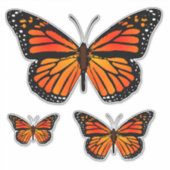 Sticker Monarque Butterflies (Devant)