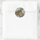 Sticker Monarque sur Asters (Sac)