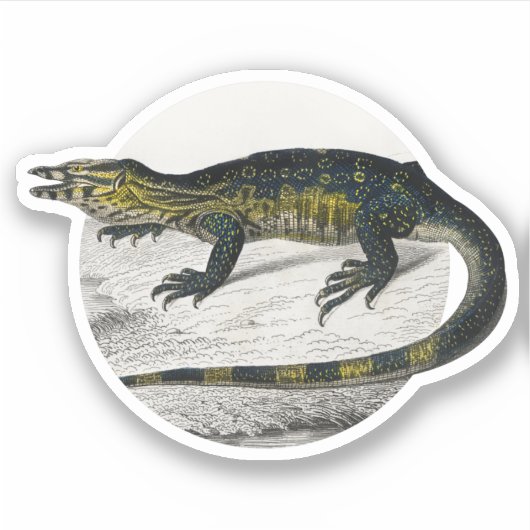 Sticker Moniteur Lizard (Devant)