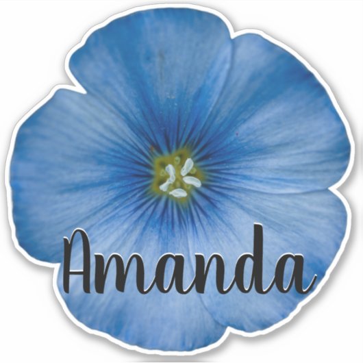 Sticker Monogramme bleu Nom Fleur Nature Plante jolie (Devant)
