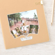 Monogramme cardiaque rustique Photos Fête des mari