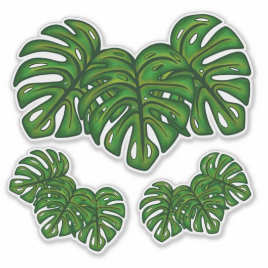 Sticker Monstera Leaves (Devant)