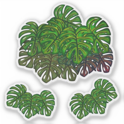 Sticker Monstera Leaves (Devant)