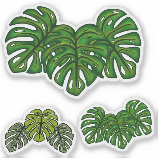 Sticker Monstera Leaves (Devant)