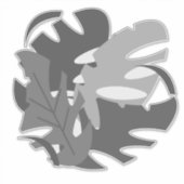 Sticker Monstera plante feuille Décal voiture (Devant)