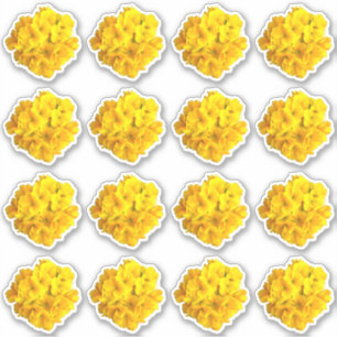 Sticker Motif de fleurs de Primrose jaune