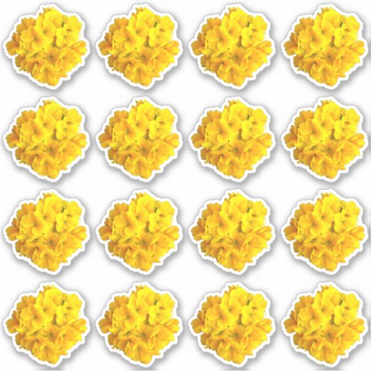Sticker Motif de fleurs de Primrose jaune (Devant)