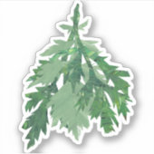 Sticker Mugwort (Bollan bane) (Devant)