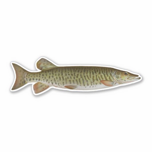 Sticker Musky - Pêche en eau douce (Devant)