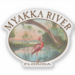 Sticker Myakka River Floride avec spatule rose