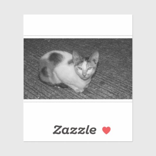 Sticker N&B - Cat 03 (Feuille)