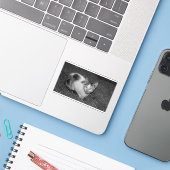 Sticker N&B - Cat 03 (Ordinateur portable avec iPhone)
