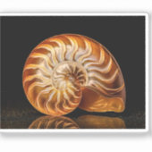 Sticker Nautile, coquille dorée (Recto)