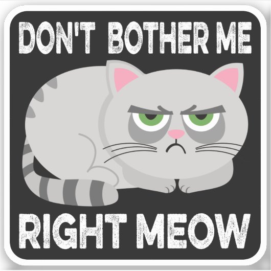 Sticker NE M'INQUIÈTEZ PAS DROITE MEOW - Drôle Lazy Chat S (Devant)