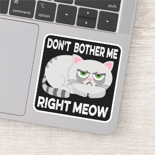 Sticker NE M'INQUIÈTEZ PAS DROITE MEOW - Drôle Lazy Chat S