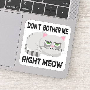 Sticker NE M'INQUIÈTEZ PAS DROITE MEOW - Drôle Lazy Chat S