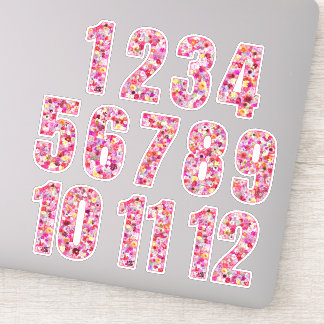 Sticker Nombres Floraux Roses 12 Mois