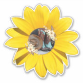 Sticker Occidental, Tournesol Jaune, Bottes & Casquette da (Devant)