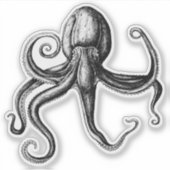 Sticker Octopus noir et blanc (Devant)