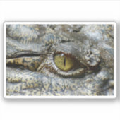 Sticker Oeil jaune effrayant de crocodile (Devant)