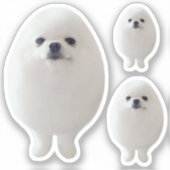 Sticker Oeuf Chien mème (Recto)