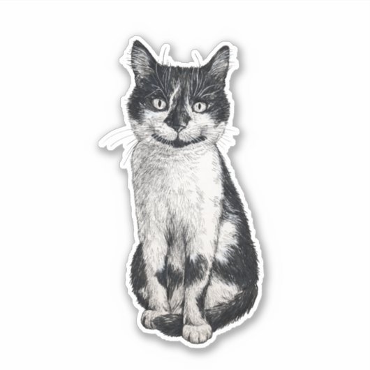Sticker Ogie le chat (Devant)