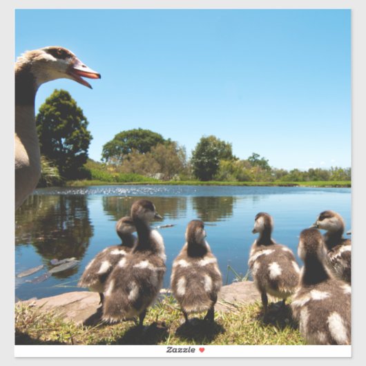 Sticker Oie égyptienne (Feuille)