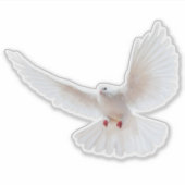 Sticker Oiseau blanc (Devant)